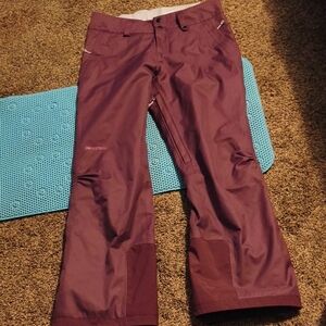 Patagonia Purple Women's Pants